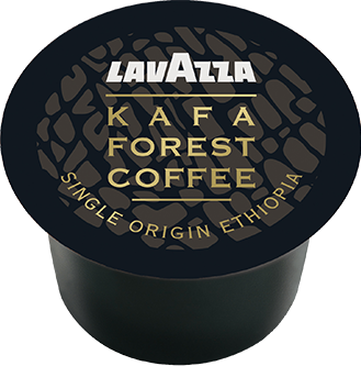 Kafa Forest Kaffee Kapseln