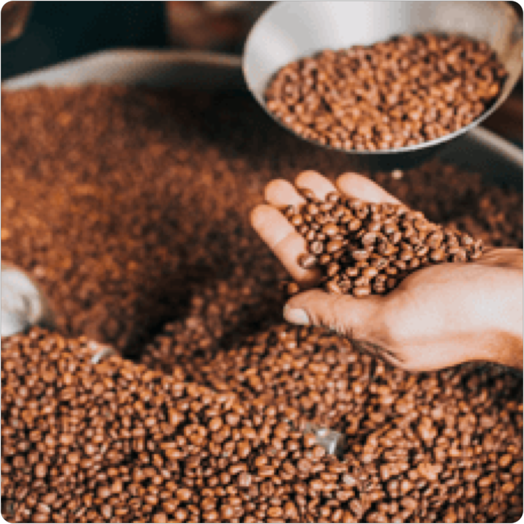 Produktion und Lieferung